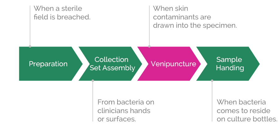 blood culture contamination source